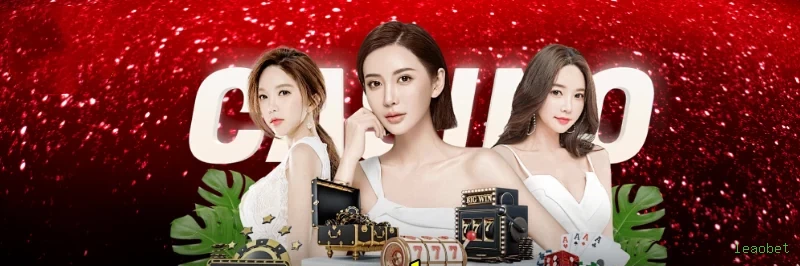 Programa VIP exclusivo da leaobet